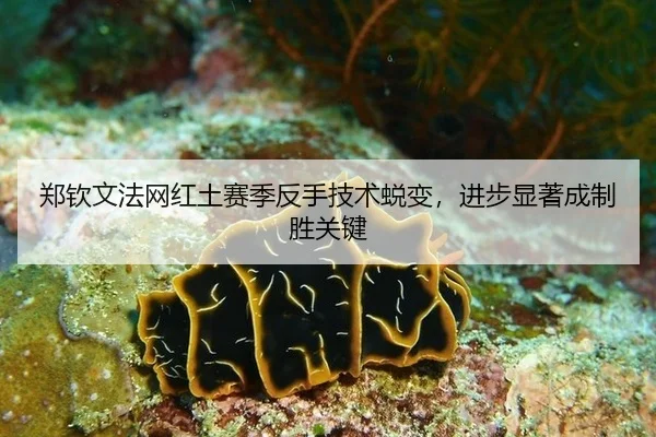 郑钦文法网红土赛季反手技术蜕变，进步显著成制胜关键
