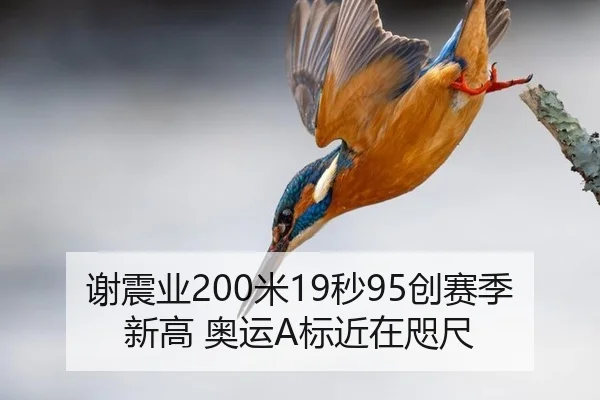 谢震业200米19秒95创赛季新高 奥运A标近在咫尺